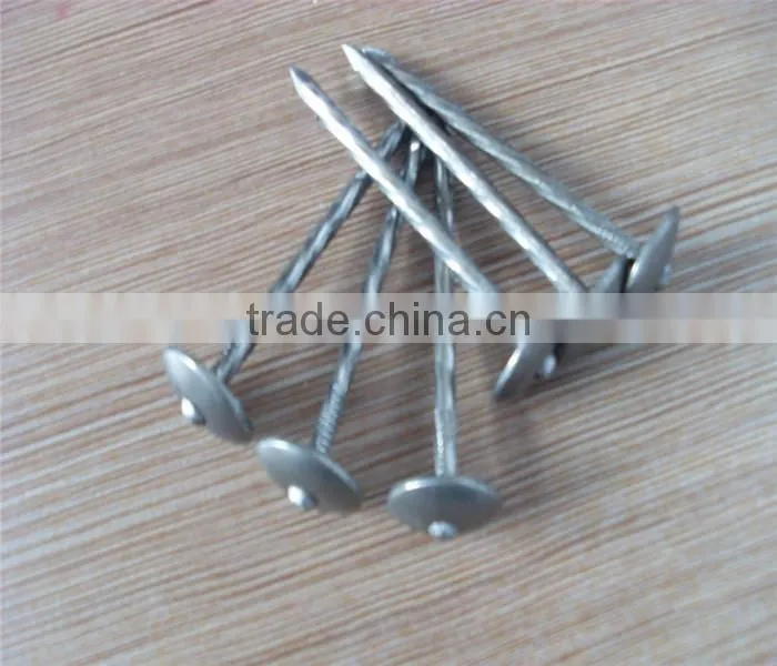 GALV.PLAIN SHANK ROOFING NAILS