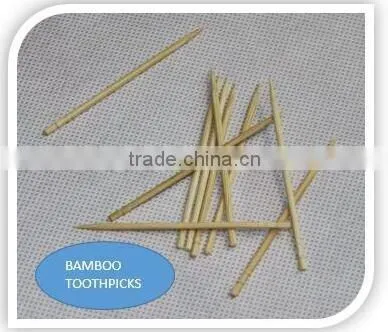 reusable toothpick bamboo toothpick