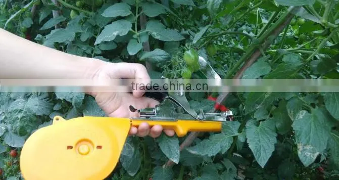 Green pvc tape for gardening