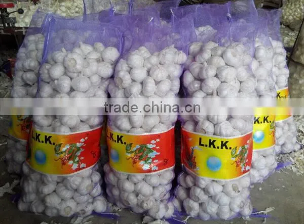2016 cheap fresh garlic factory directly supply
