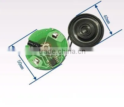 2013 Waterproof sound module for promotion item/gift