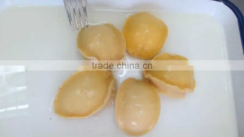 Canned Abalone Canned Seafood