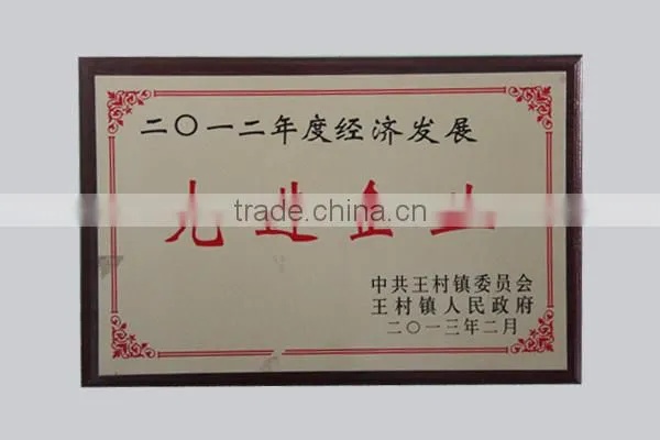 Zirconia products