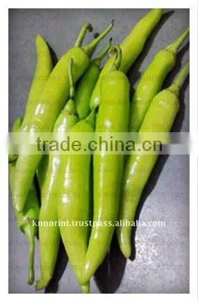 Hot Pepper Seeds | NR#0270