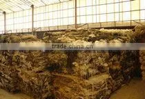 fur coats, clothing, garment inspection in China, quality control inspection