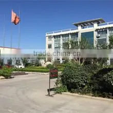 Qingdao Zhongwei Hand Truck Co., Ltd. company overview - view 1