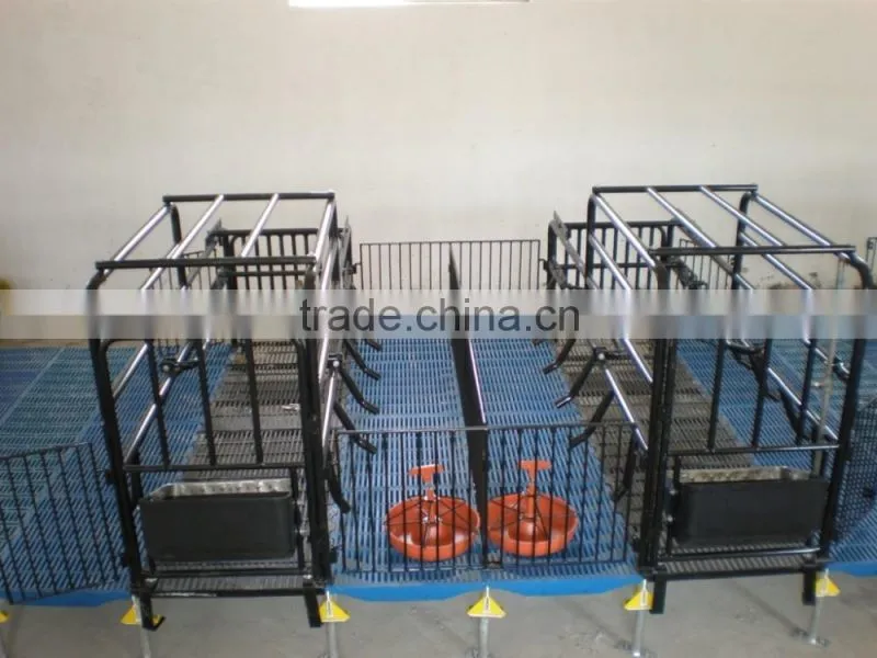 Pig Farrowing Crate