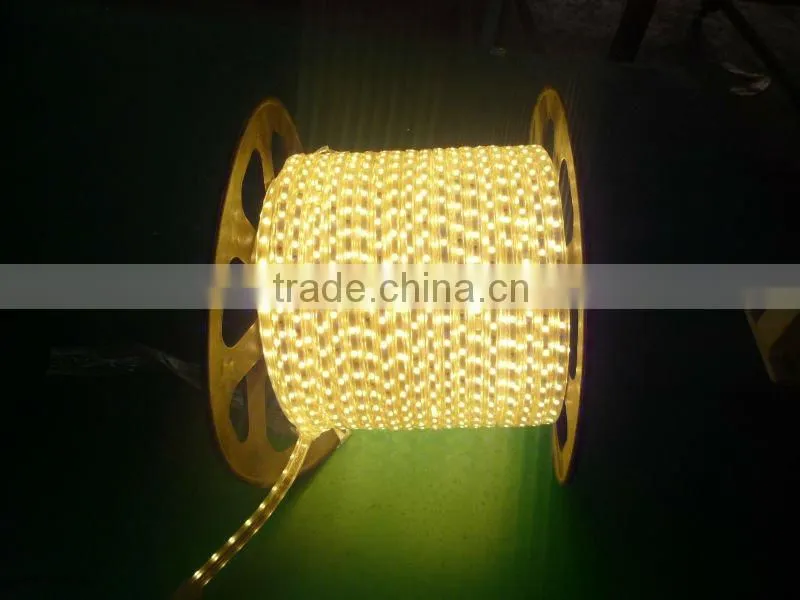 Super brightness waterproof SMD 5050 flexible LED strip light 220v