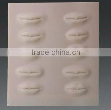 3D-Stereo tattoo practice head-lips eyebrow Practice Dermis