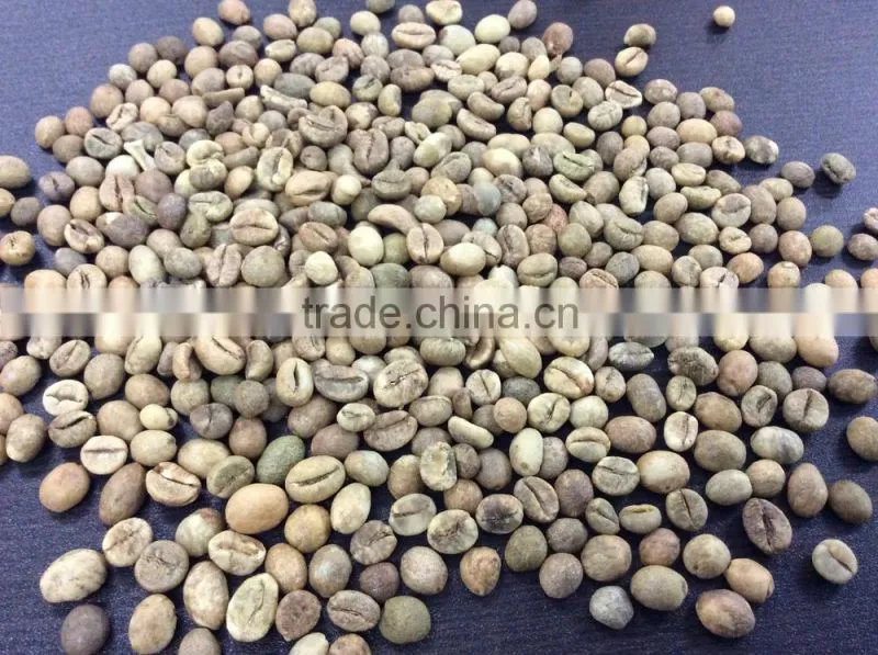 Vietnam Robusta Coffee Beans SCR 18 (Skype: davis.thong, mobile: +84 986 778 999)