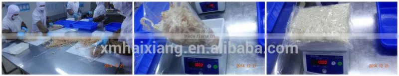 Professional export dried squid supplier from China