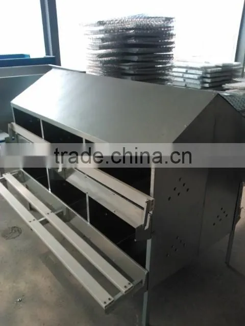 Poultry Chain Feeding System/Automatic Poultry Feeder For Broiler and Breeder Shed