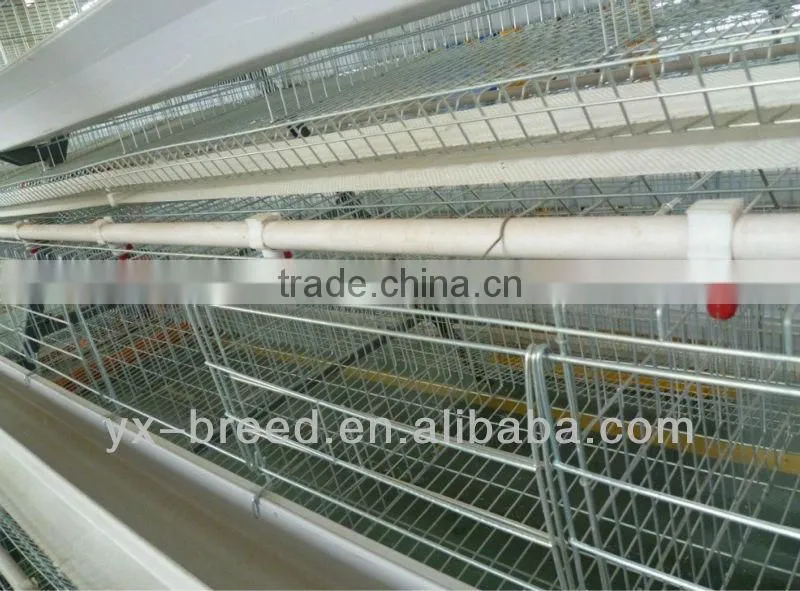 poultry layer cage for chicken