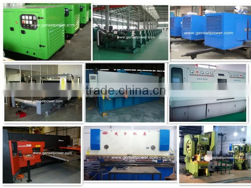 Diesel Power Force Generator Set