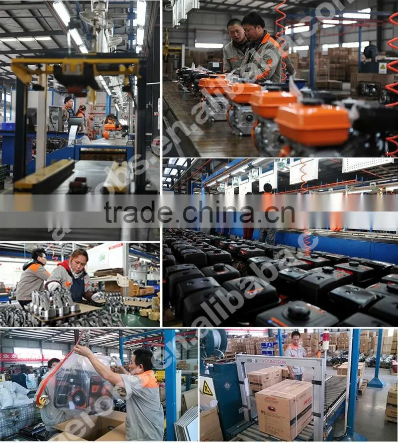 2 inch 7.0HP high pressure gasoline water pump with CE certificate