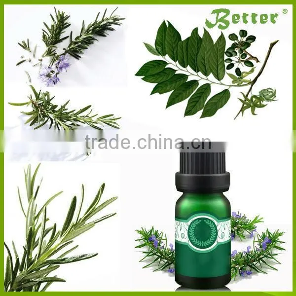 Factory Direct Sale Wheat Germ Oil Extraction Machine