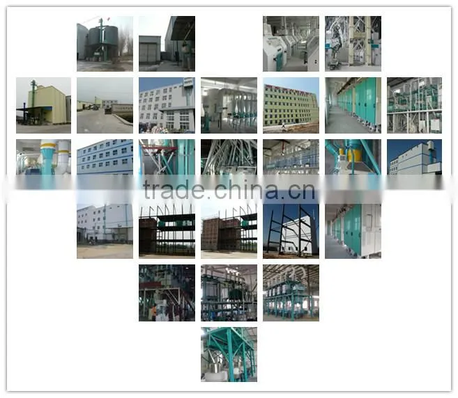 Manufacturer of H-efficiency automatic pneumatic wheat flour mills