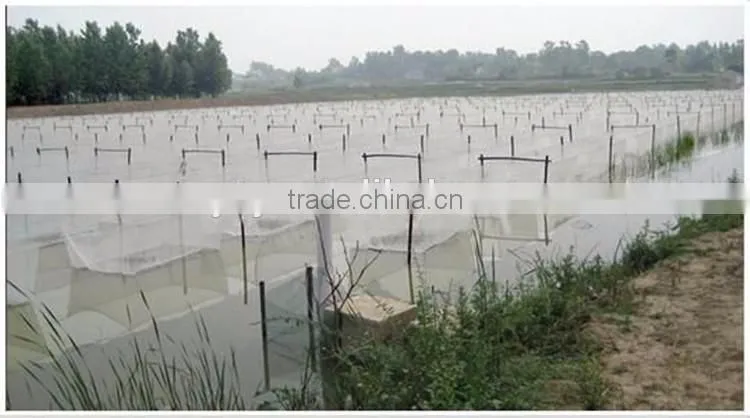 20*10 16*10 mesh white anti insect net/mosquito fly proof wire mesh