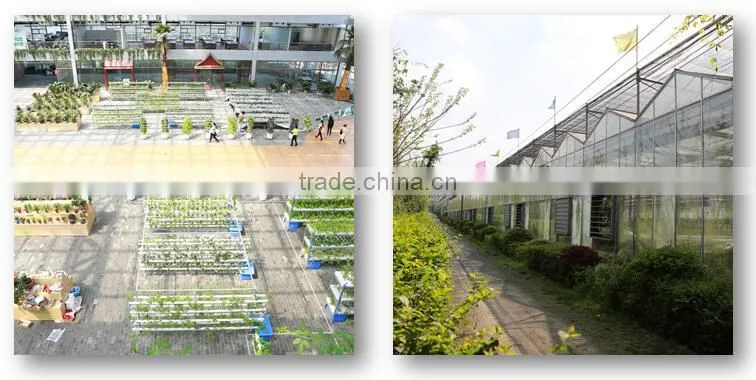 Multi Span Tunnel PE Plastic Film Hydroponic Systems Agricultural Commercial Greenhouse