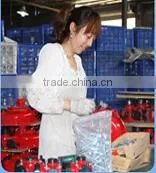 Chemical Pump(2 Inches) with Aluminum for industry of Liquid transfer,Chemical Dosing Pump For Sale