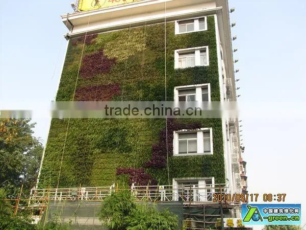 Natural looking hot sale artificial plant wall design aetificial grass wall for decoration