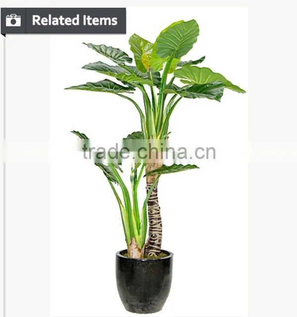 Classic artificial ficus tree topiary palm tree and indoor house plant for home and office decoration use