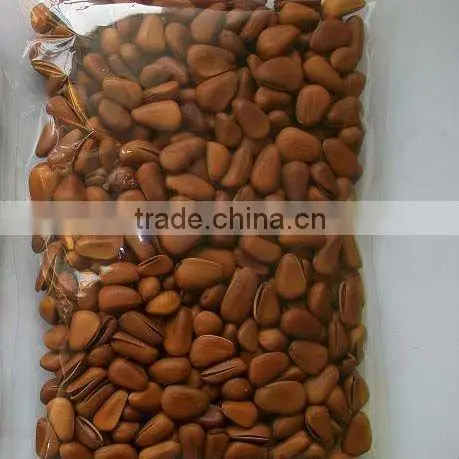Pine nut kernel