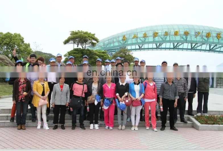 Cake Emulsifier Distilled Monodiglycerides(Distilled Glycerin Monostearat)DMG E471 Emulsifier Manufacturer