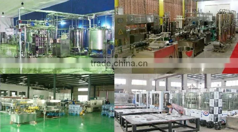 Full Auto Bottle Liquid Filling Machine (Hot Sale)
