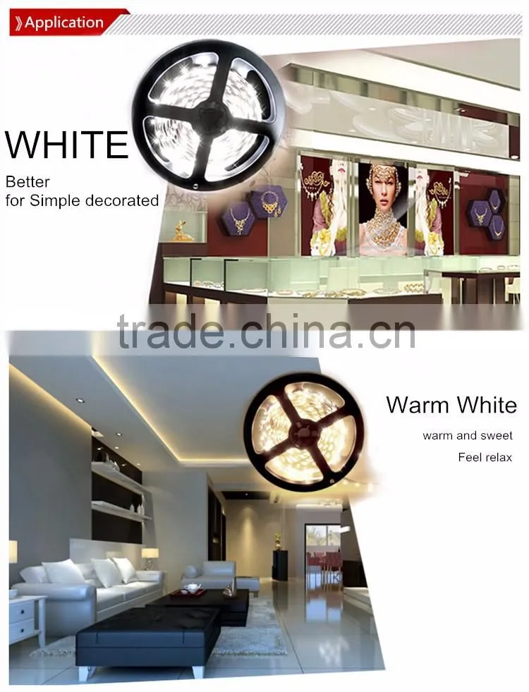 SMD Multi Color 12V 24V Waterproof LED Strip Lights