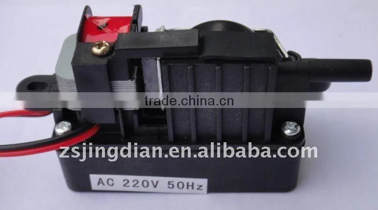 Ozone air pump