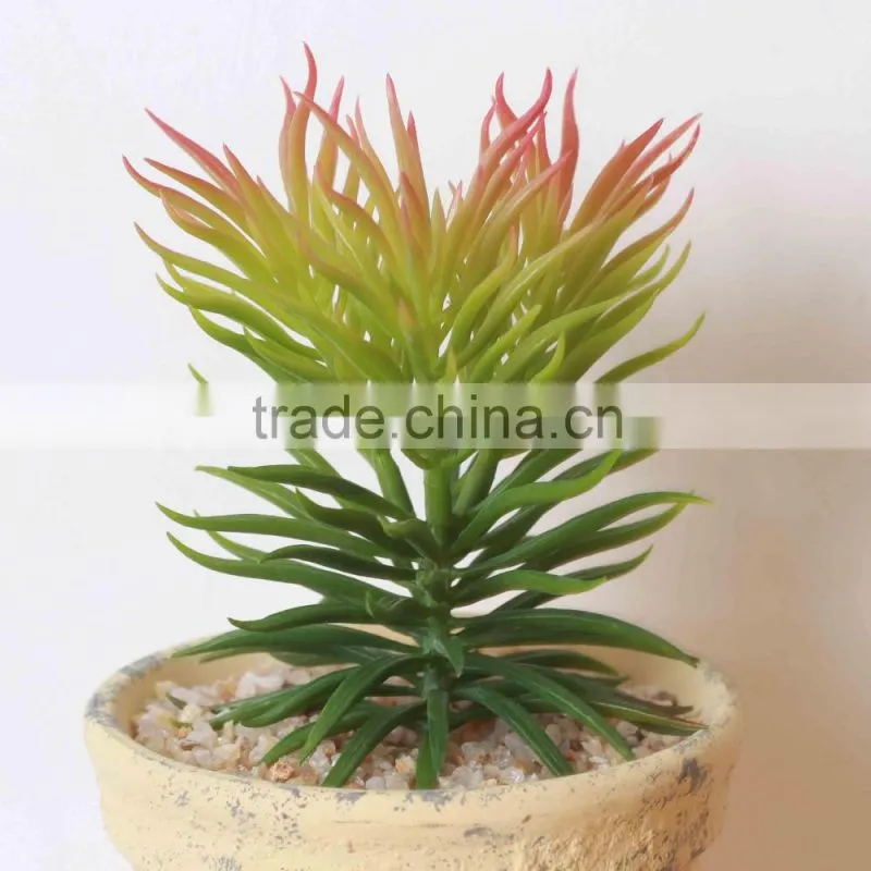 Home Decoration Use NEW Mini Novel Ceramic Porcelain Bonsai Grass Doll Hair Plant Head Planter Gift