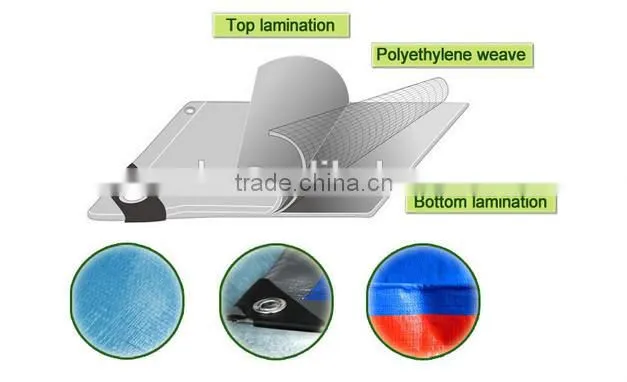 China Tarpaulin roll exported to Japan 3.6x5.4