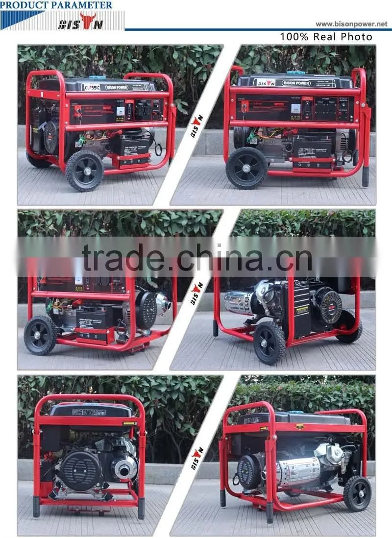 Bison China OEM cam professional 6500 gasoline generator king max power generator