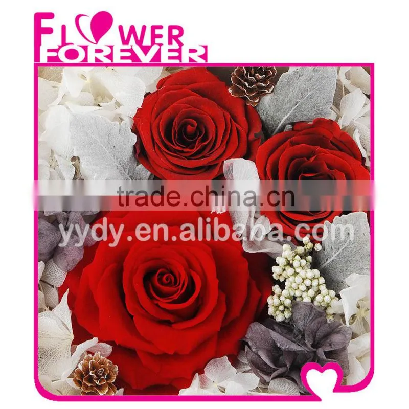 Wholesale Real Preserved Flower