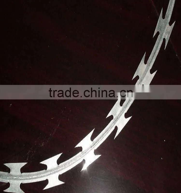Razor Barbed Wire(factory)