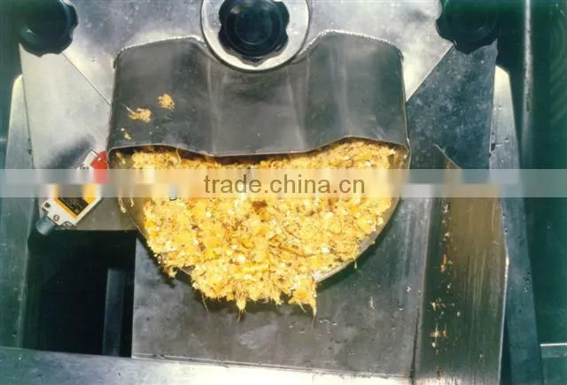 complete set of mango juice production plant