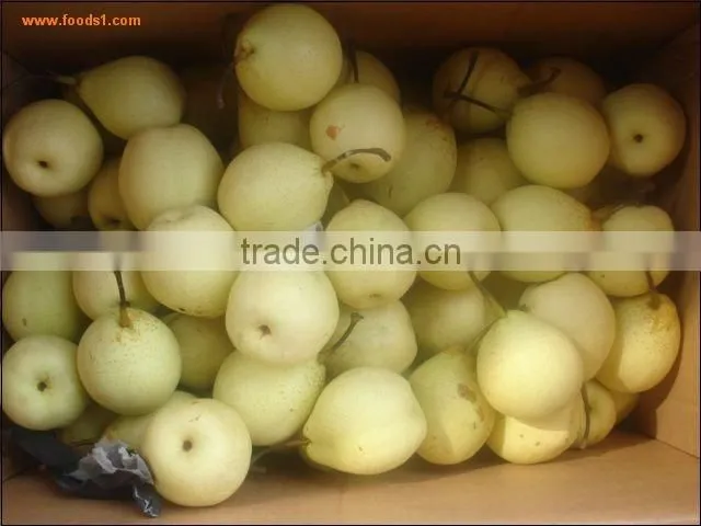 decilious ya pears