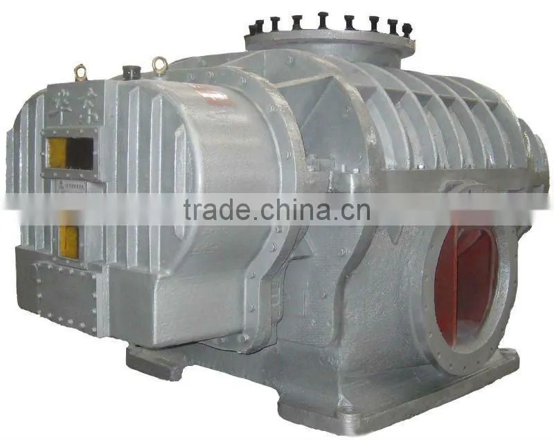 two-lobe roots blower