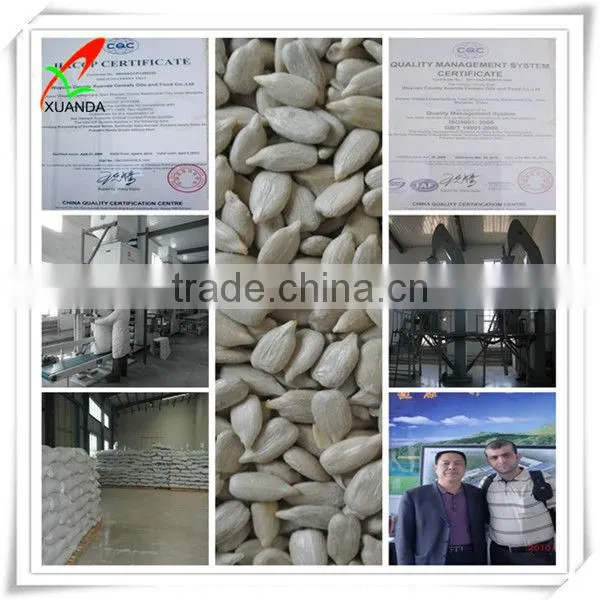 sunflower seed kernels bakery supplier