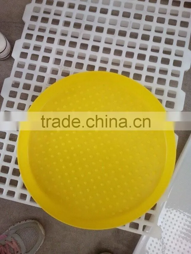 wholesale plastic chicken feeder