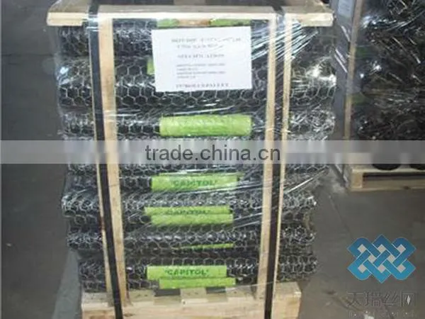 PVC coated galvanized Hexagonal Wire Netting /hexagonal wire mesh