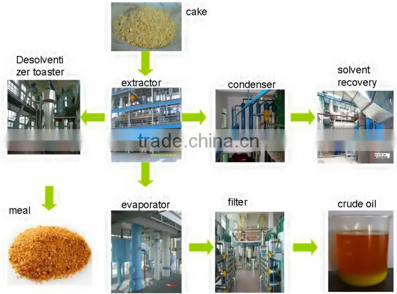 30-100TDP New Type cheap vegetable oil extraction