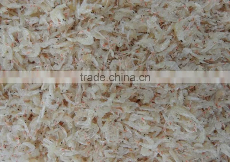 Seafood automatic color cleaner machine, shrimp color cleaning equipment from China
