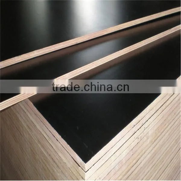 poplar waterproof commercial plywood 18mm marine plywood best price for construction