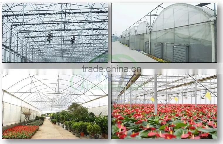 high quality geodesic dome greenhouse for sale