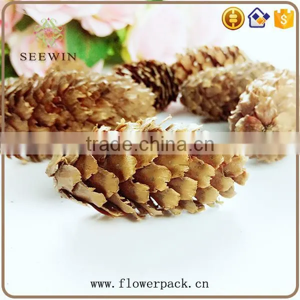 Pine nuts series of natural flowered bark engraving