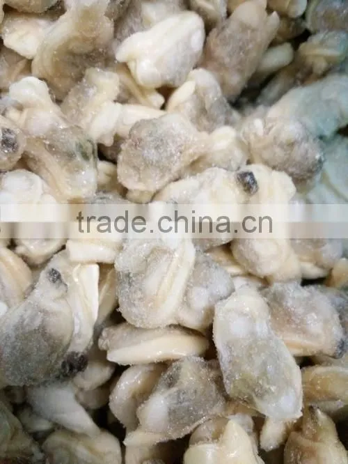 BOILED AND READY TO EAT SHORT NECKED CLAM