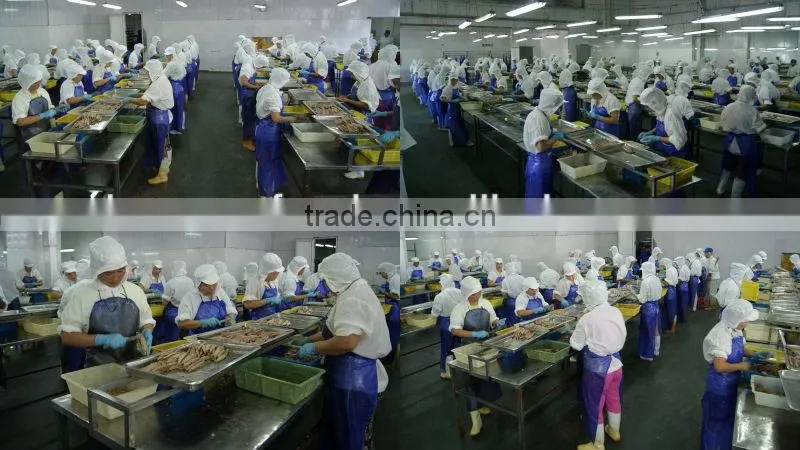Frozen horse mackerel whole round
