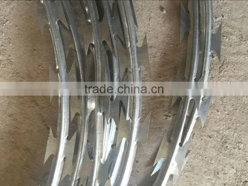 Oman salable Supply blade barbed wire good quality and price razor barbed wire/razor wire